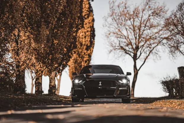 ヒッポジーノ カジノ Android/iOS アプリ